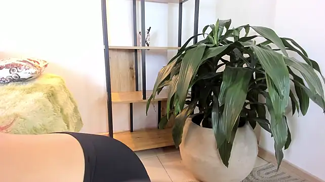 AliiceWonderland_ webcam