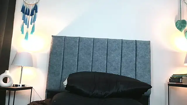 ArtesanaMK webcam