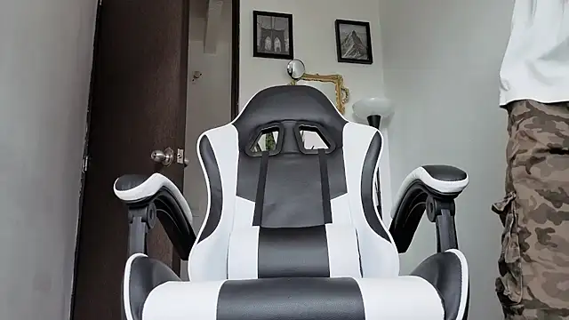 Arteemiiis webcam