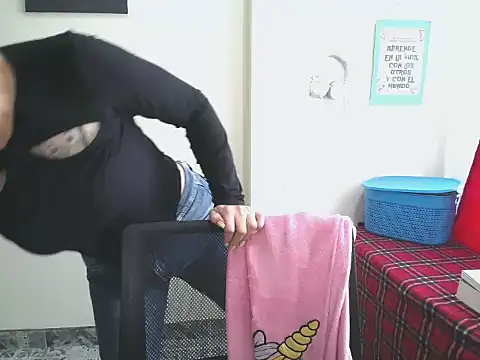 Came-II webcam