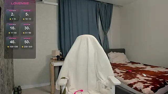 Vanellopes webcam