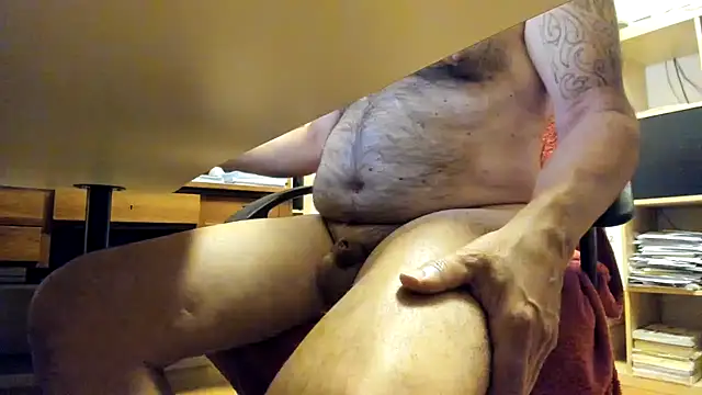 leccaleccafiga webcam