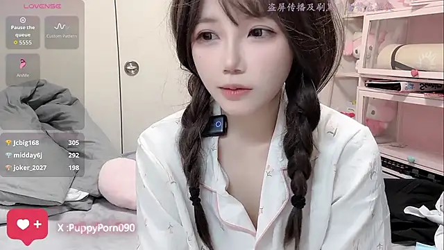 nide_xiaogou webcam