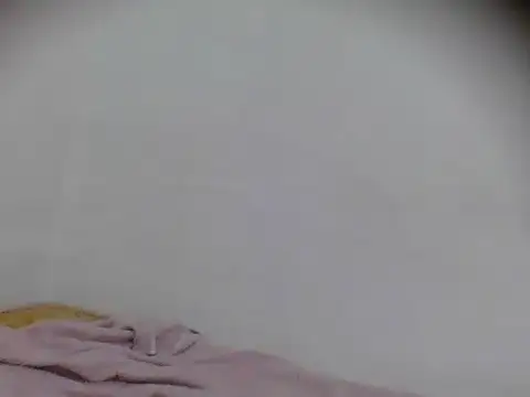 Tehiller webcam