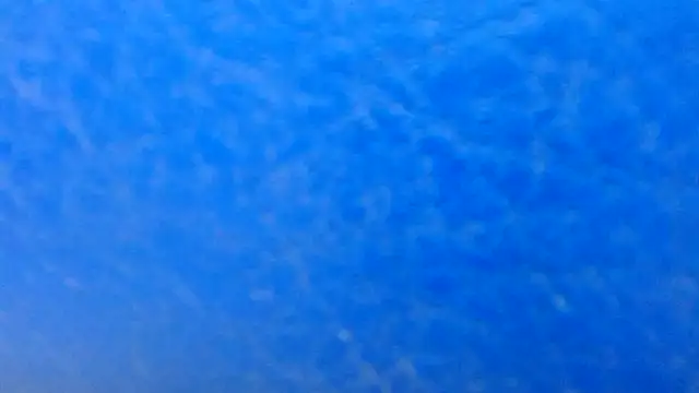 thebesthairypussy2