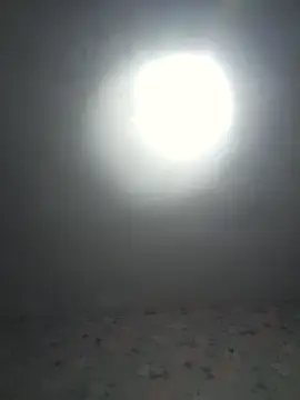 blowy-chloe webcam
