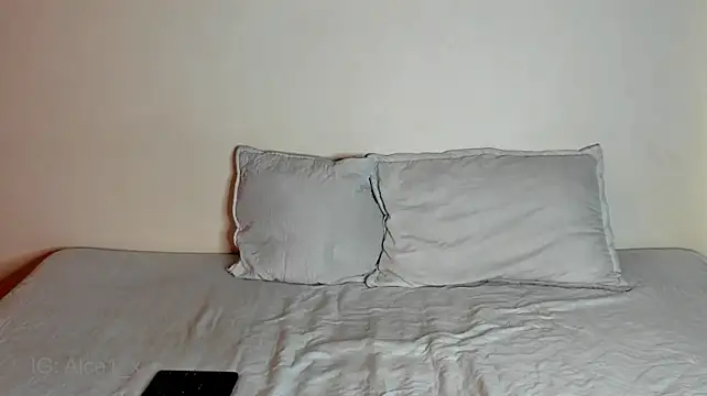 Alice_fox__- webcam