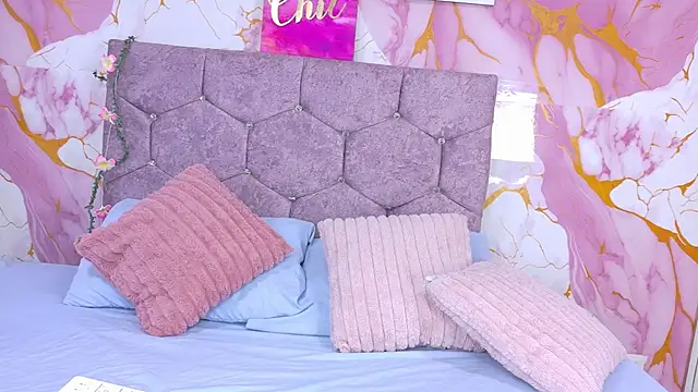 SecretVault live cam preview