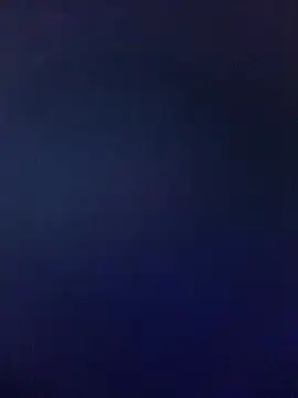 TattyFoxglove live cam preview