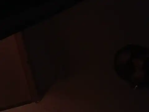 stressrliver88 live cam preview