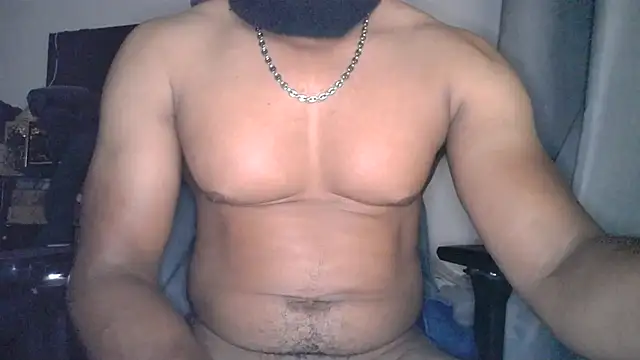 Metisse-BBC webcam