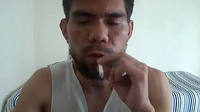 thomas2wood webcam