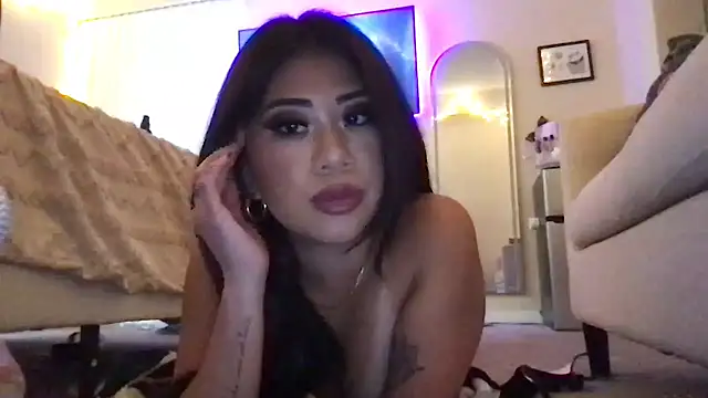 kittycat4810