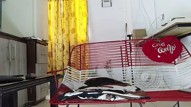 Manbigcocklatin webcam