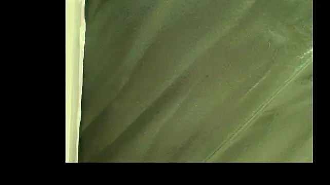 Shantey_Laurent webcam