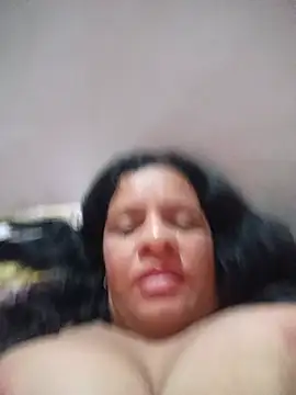 lapatronav2026