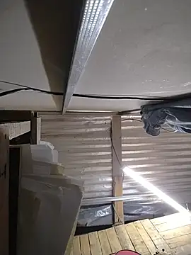 JJdi13 live cam preview