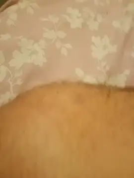 slutwifebbw webcam