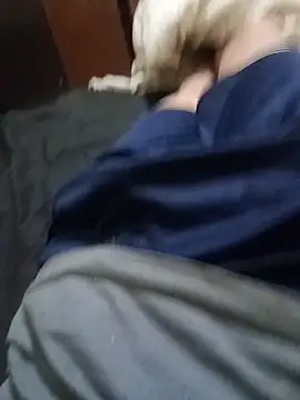 luiztesaok