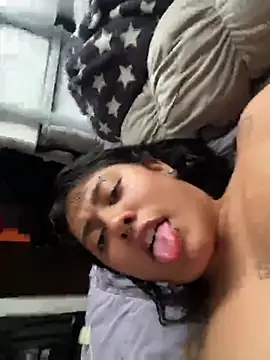 pawmistry live cam preview