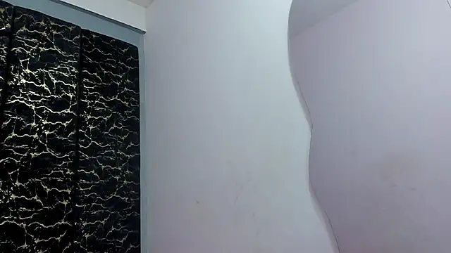 AnaCole webcam