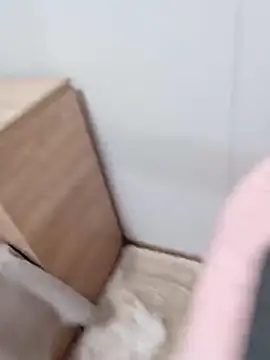 Jekitojj webcam
