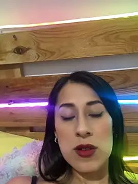 Aria-1212 webcam