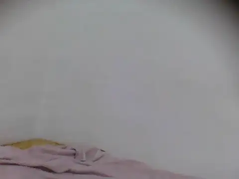 Tehiller webcam