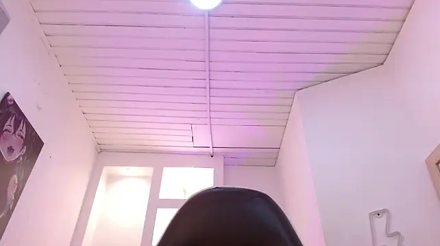 Haddes_as webcam