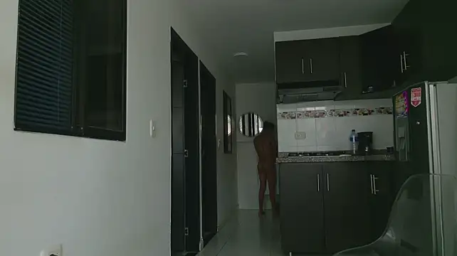 grey___27 webcam