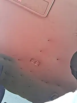 Themanvrga webcam