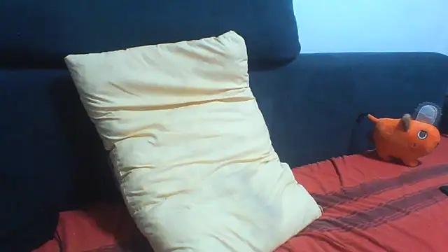 KaelNox webcam