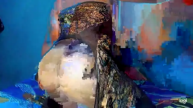 shantal_dirty_ts webcam
