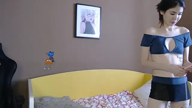 traxexe webcam