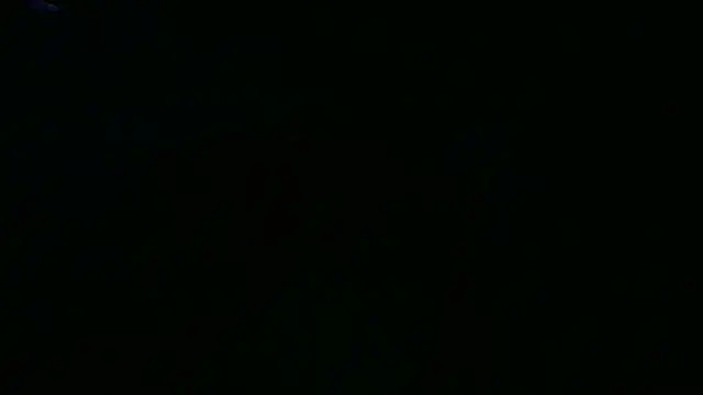 Fun_zgz