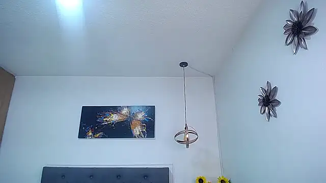 sasi_luna webcam