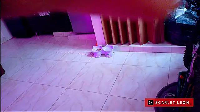 Scarletleon77
