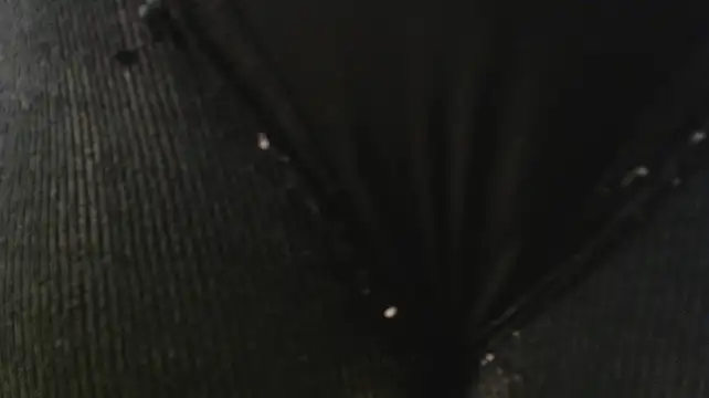 Rosalie_Durand webcam