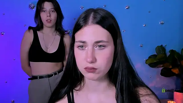 aria_wild_ webcam