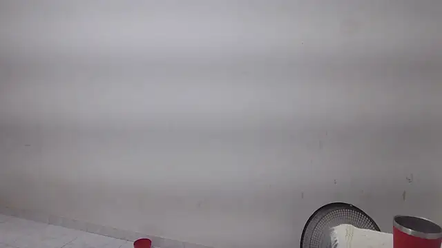 CamillyBlum webcam