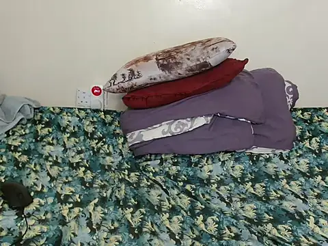 luzrem webcam