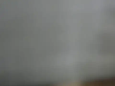 Diana-larossa webcam