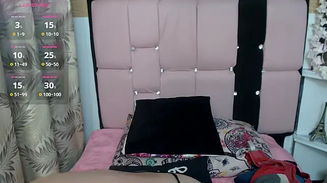 palmer_mIix webcam