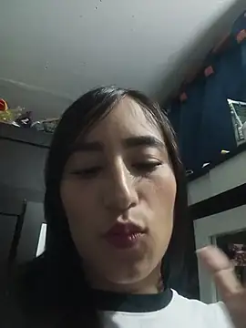 ROSIEPIXEL webcam