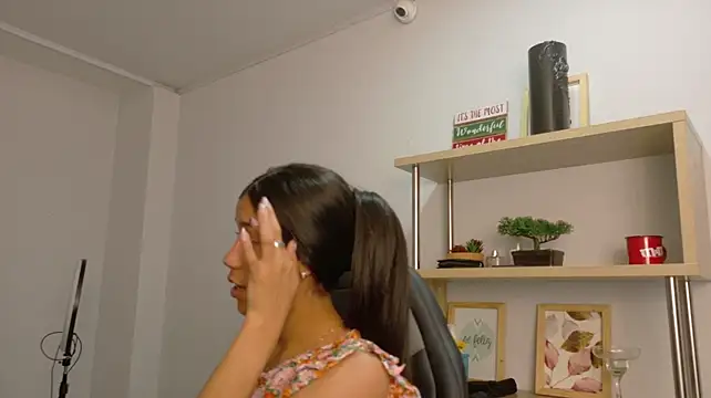 EmmiShery webcam