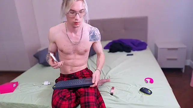 FelixMod webcam