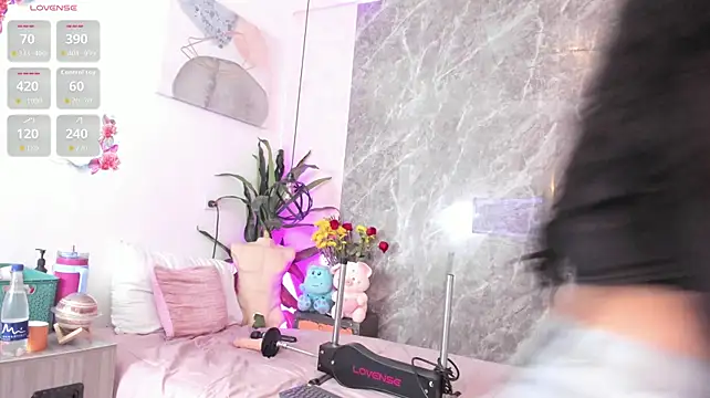 Meg_Stein webcam