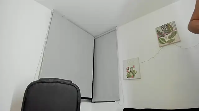 barbie_ds webcam
