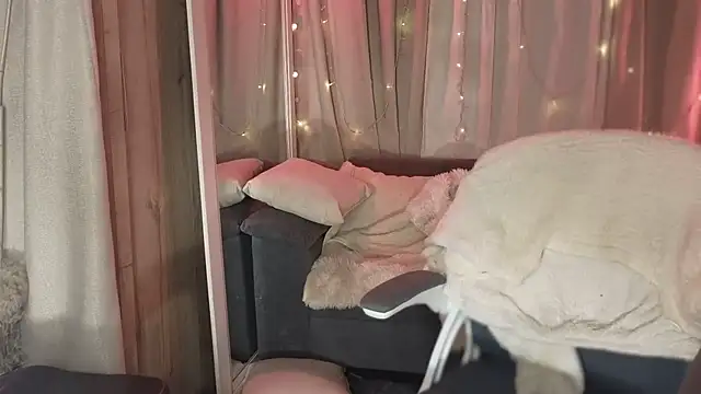LoreShark webcam