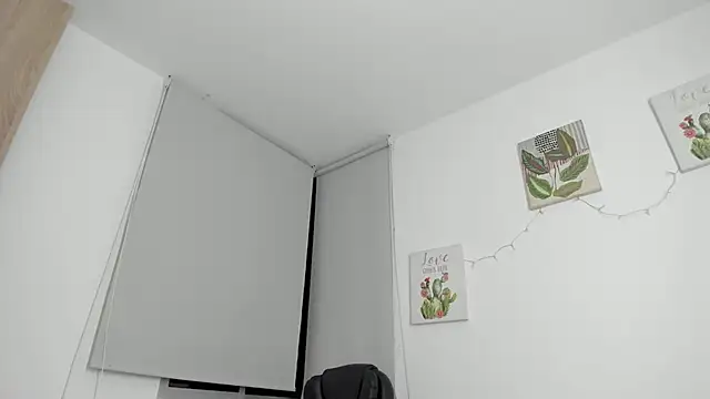 barbie_ds webcam